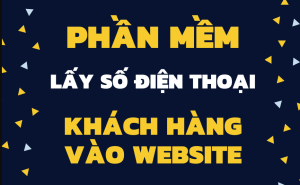 Lợi ích lấy số điện thoại từ website